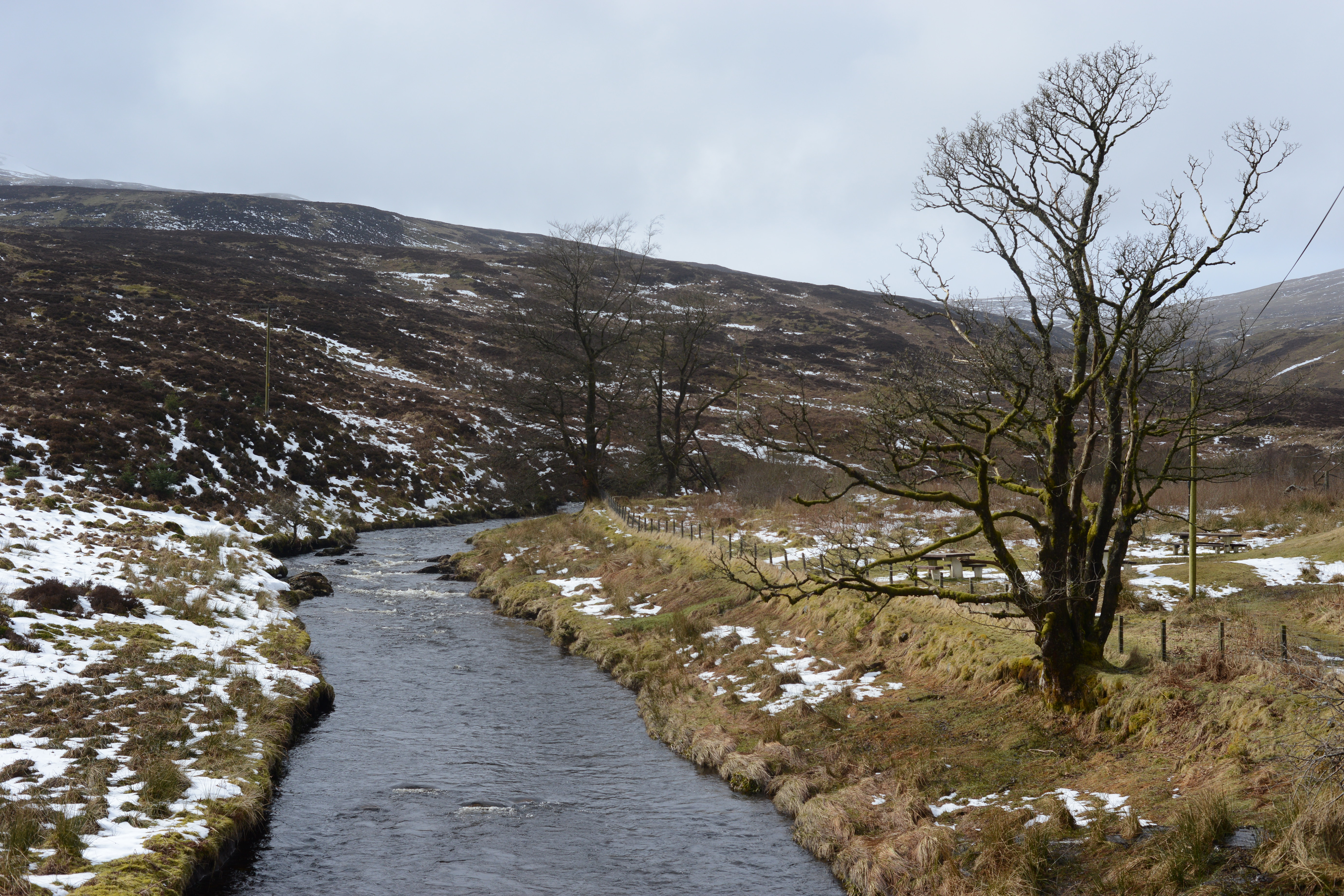 Mountain Stream - Scotland - photo by Jimmy Peggie